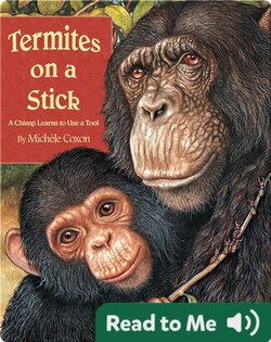 Termites on a Stick