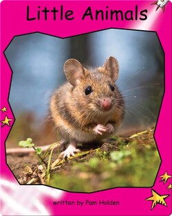 Little Animals