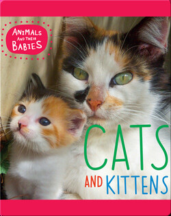 Cats and Kittens