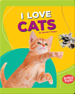 I Love Cats