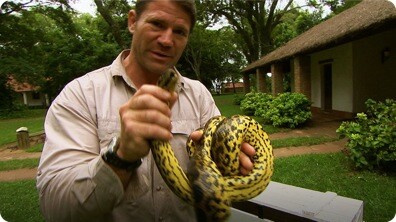 Eye to Eye With a Yellow Anaconda - Deadly 60