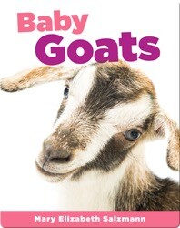 Baby Goats