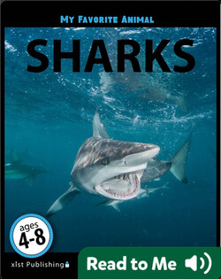 My Favorite Animal: Sharks