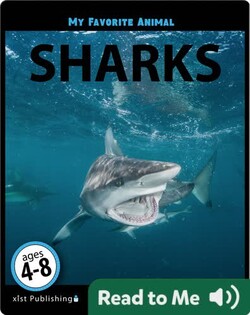 My Favorite Animal: Sharks