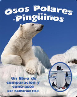 Osos Polares y Pingüinos: Un libro de comparación y contraste