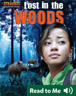 Lost in the Woods