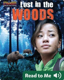 Lost in the Woods