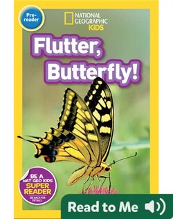 National Geographic Readers: Flutter, Butterfly!