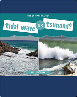 Tidal Wave or Tsunami?