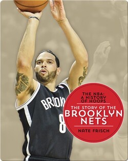 The Story of the Brooklyn Nets