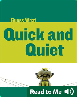 Quick and Quiet