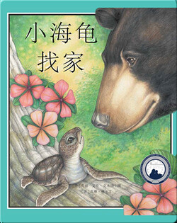 小海龟找家