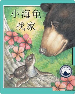 小海龟找家