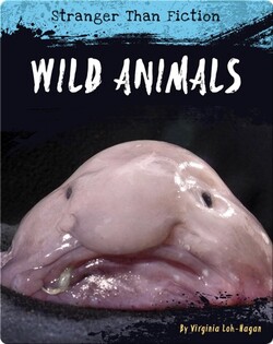 Wild Animals