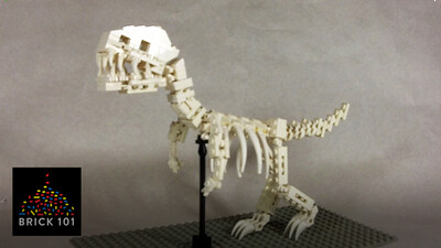 How To Build a LEGO T-Rex Skeleton