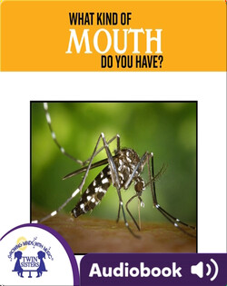 What Kind Of Mouth Do You Have?