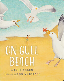 On Gull Beach