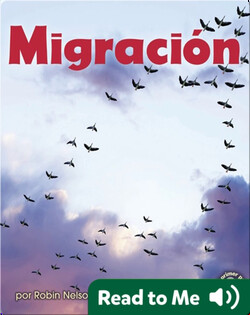 Migración (Migration)