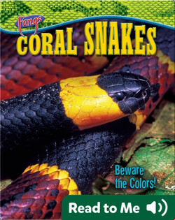 Coral Snakes: Beware the Colors!
