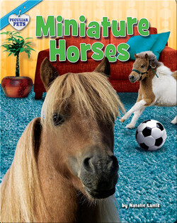 Miniature Horses