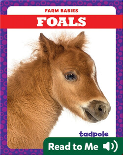 Foals