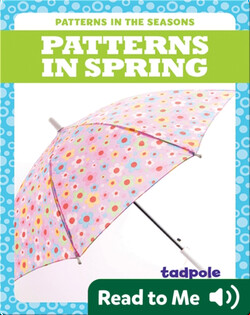 Patterns in Spring