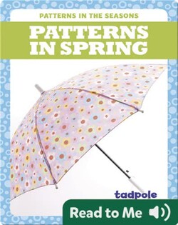 Patterns in Spring