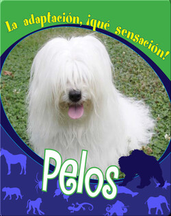 Pelos