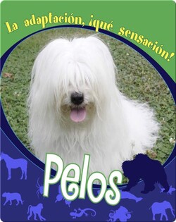 Pelos