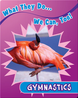 Gymnastics