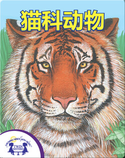 猫科动物！