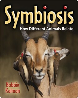 Symbiosis: How Different Animals Relate