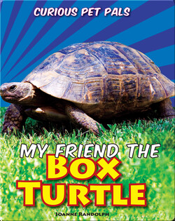 My Friend the Box Turtle