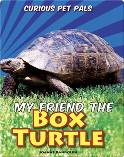 My Friend the Box Turtle