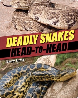 Deadly Snakes