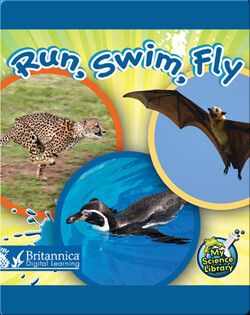 Run, Swim, Fly