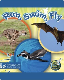 Run, Swim, Fly