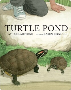 Turtle Pond