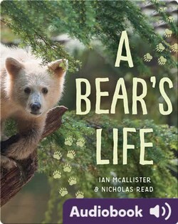 A Bear's Life