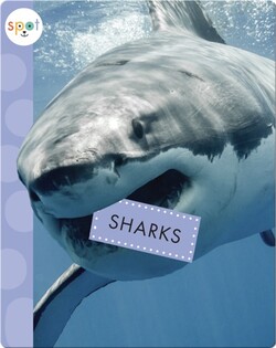Sharks