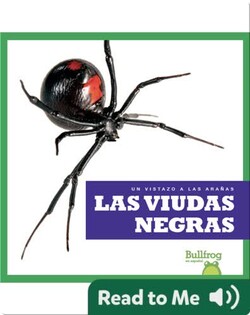 Las viudas negras