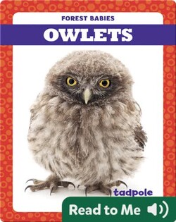 Owlets