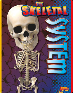 The Skeletal System