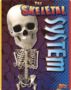 The Skeletal System