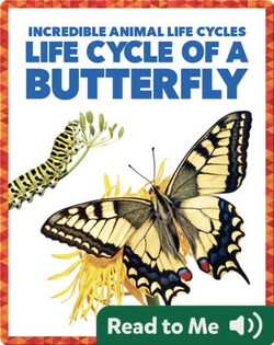 Life Cycle of a Butterfly