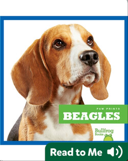 Beagles