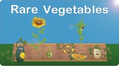 Rare Fruits and Vegetables Song