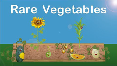 Rare Fruits and Vegetables Song