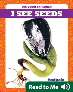 I See Seeds