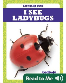 I See Ladybugs